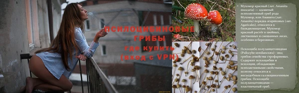 амф Козловка