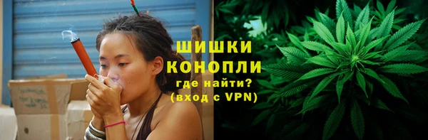 амф Козловка