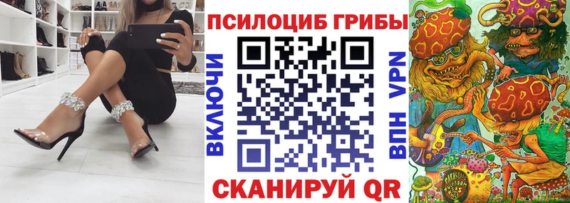 где купить наркоту  Невинномысск  Псилоцибиновые грибы Psilocybine cubensis 