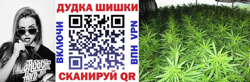 Шишки марихуана марихуана  Невинномысск 